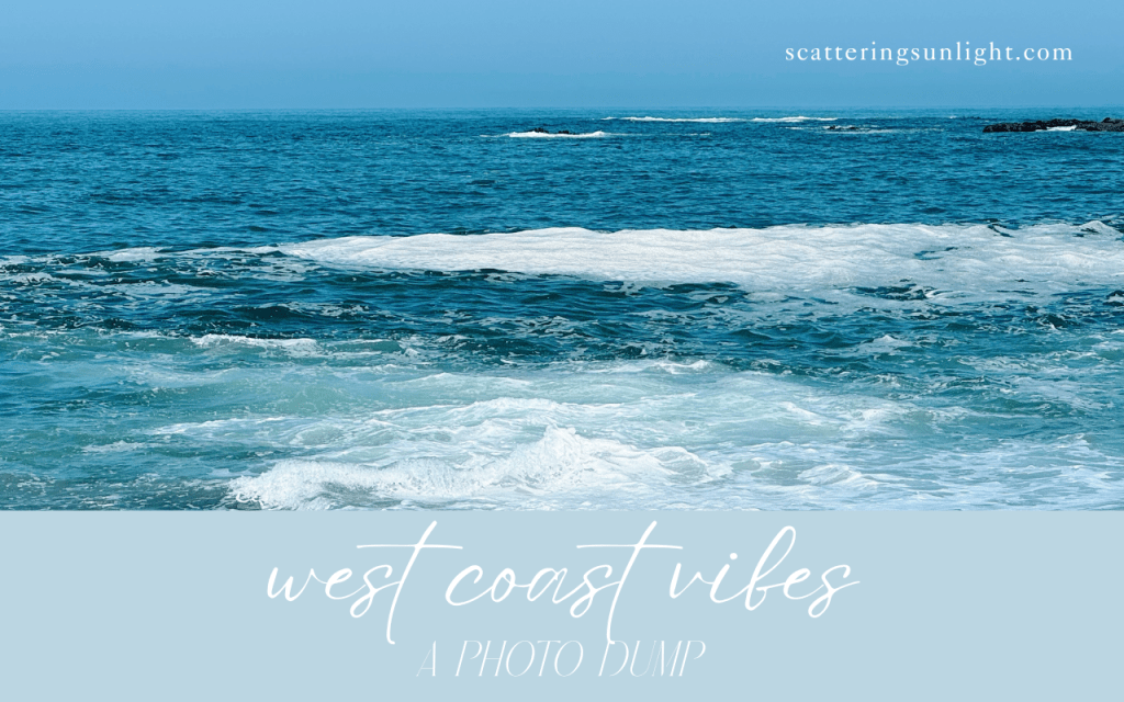 west coast vibes [a photo&nbsp;dump]