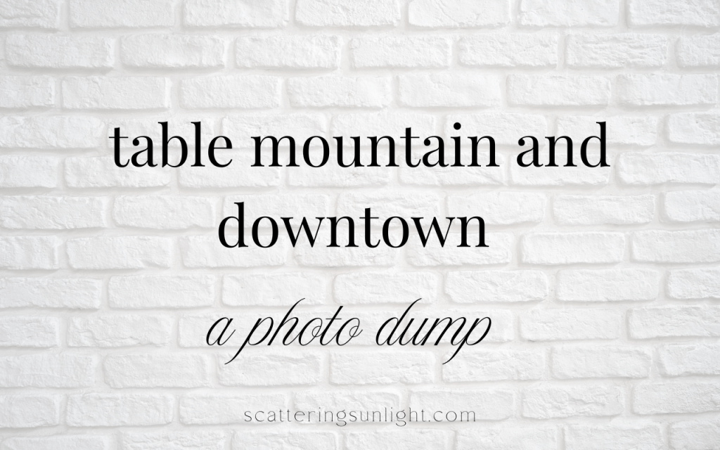 table mountain & downtown [a photo&nbsp;dump]