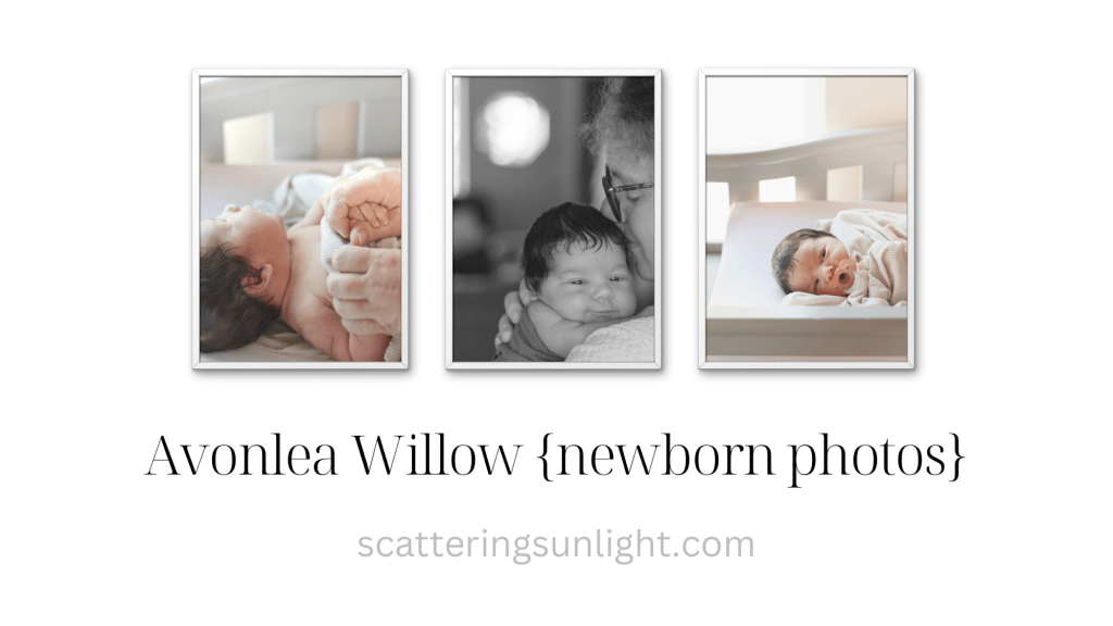 Avonlea Willow {newborn&nbsp;photos}